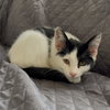 Maggie - Photo 2