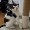Maggie - Photo 4