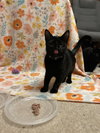 December - Photo 4