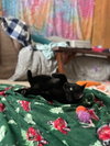 December - Photo 11