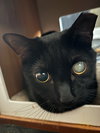 Penumbra - Photo 1
