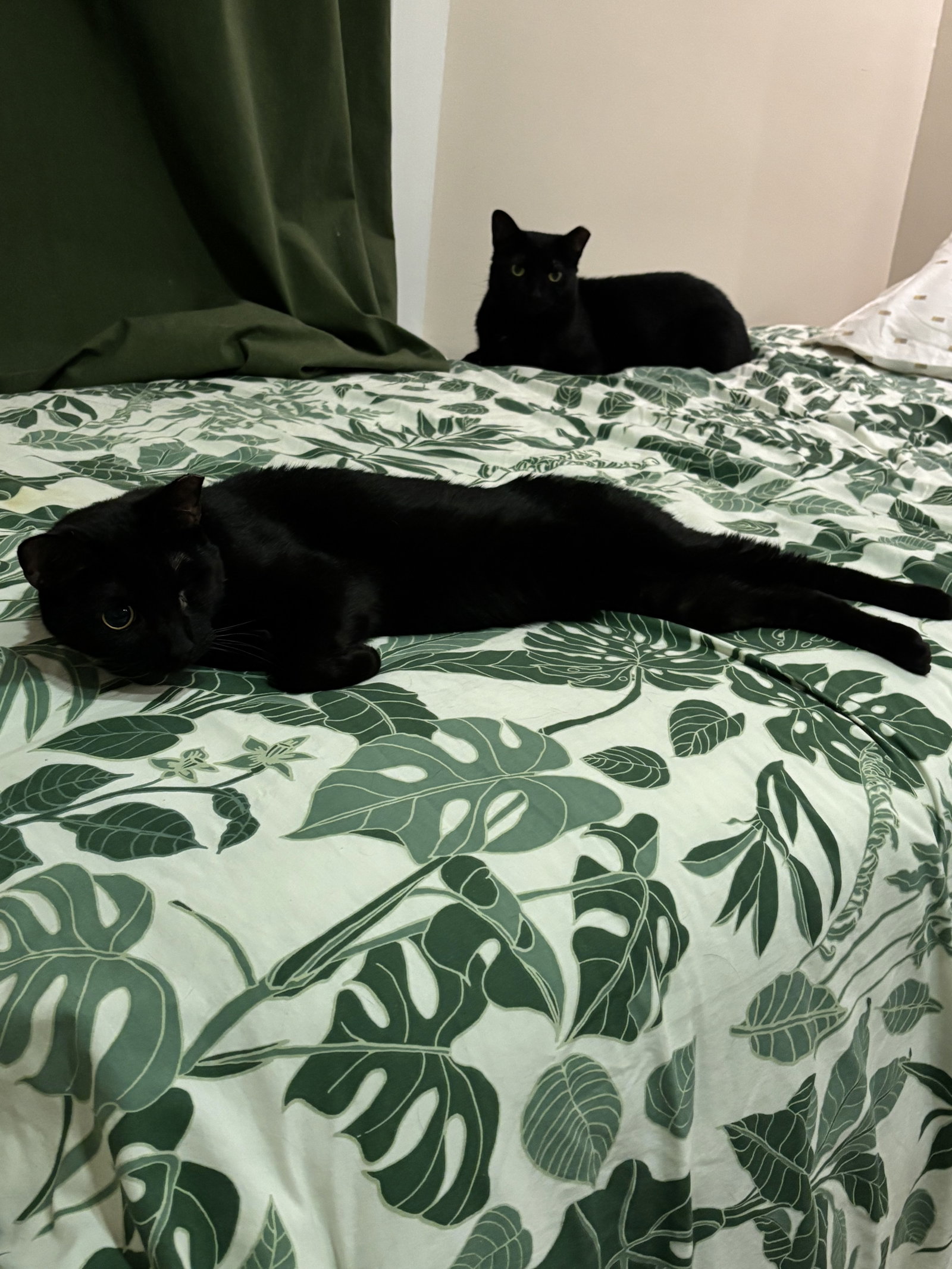 Penumbra, photo 4