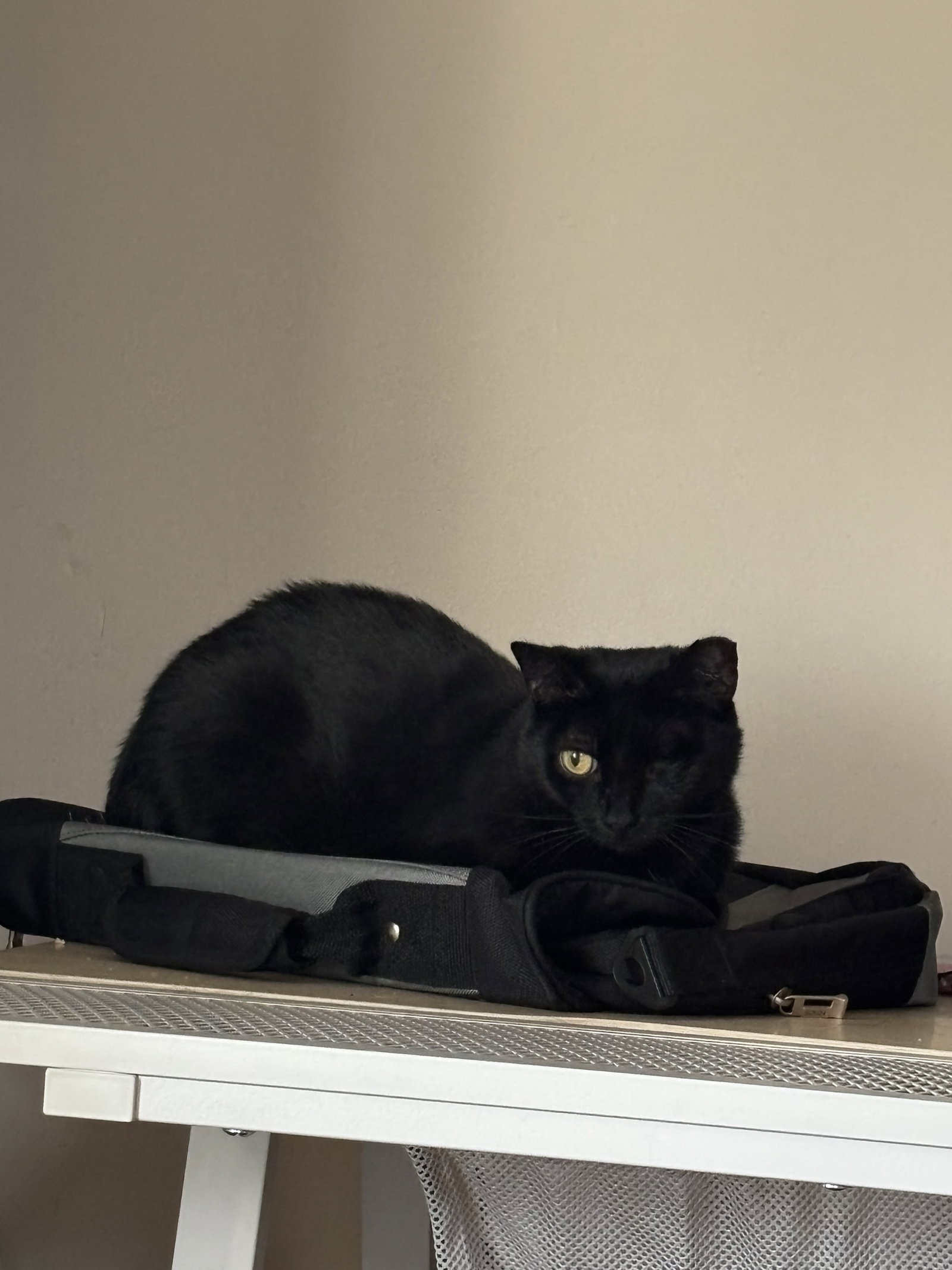 Penumbra, photo 7