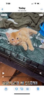 Hobbs (will make you smile) Image