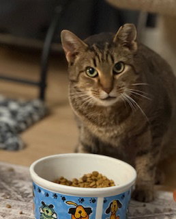 Mae Image