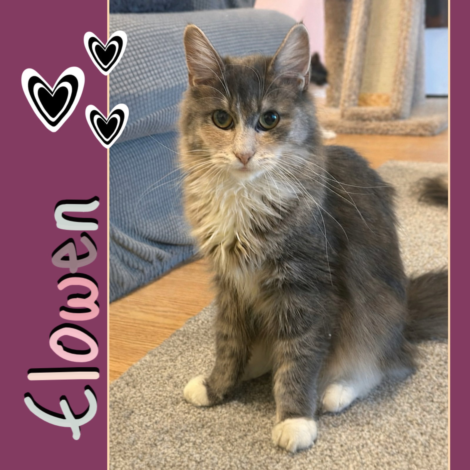 Elowen (calm, gentle, so sweetl) Image