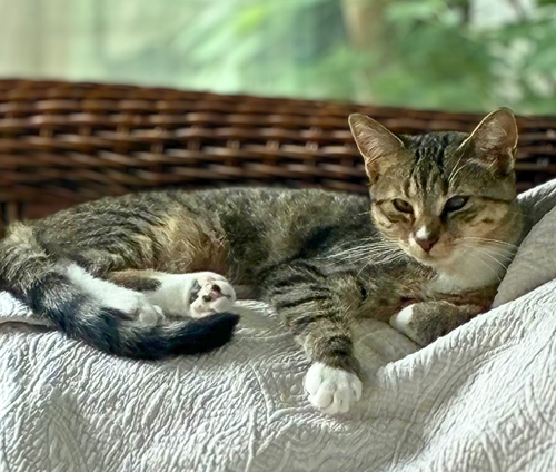 Photo 3 of Darla