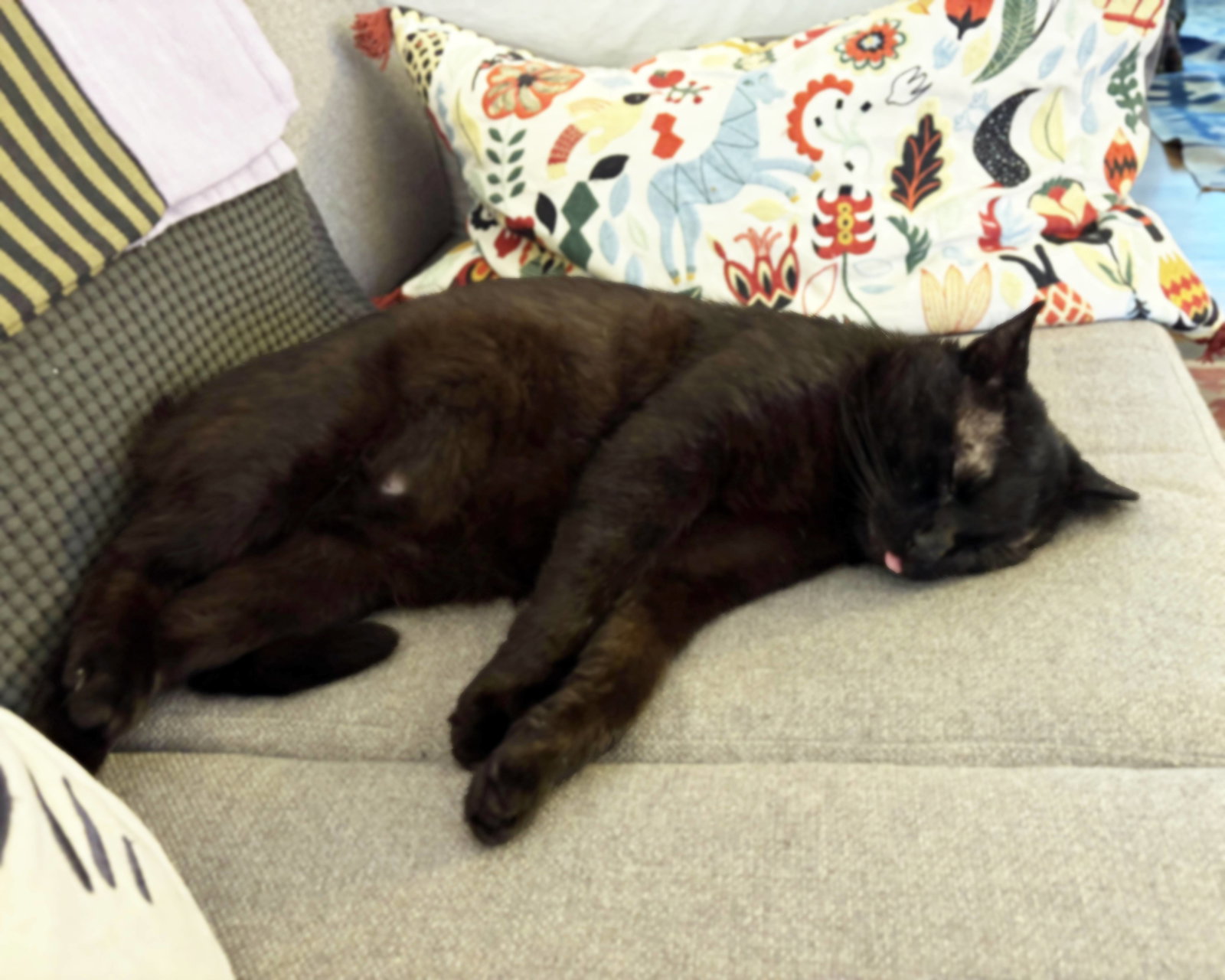 Alistair, photo 2
