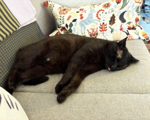 Photo 2 of Alistair