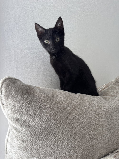 Esme photo 2