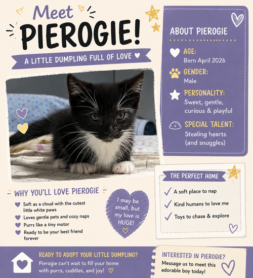 Pierogie photo 2