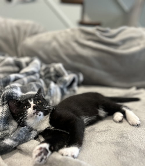 Junebug photo 3