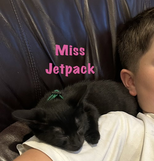 Miss Jetpack photo 2