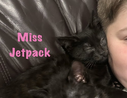 Miss Jetpack photo 3
