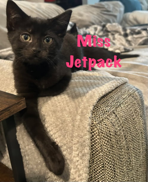 Miss Jetpack photo 4