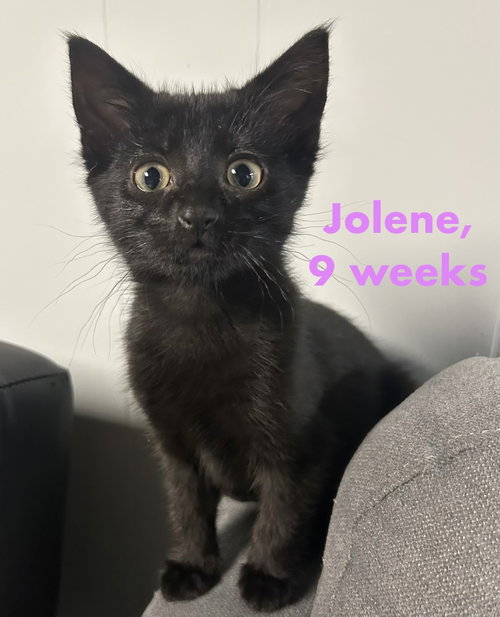 Jolene photo 2