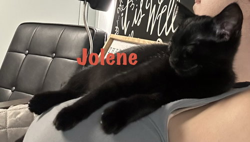Jolene photo 5
