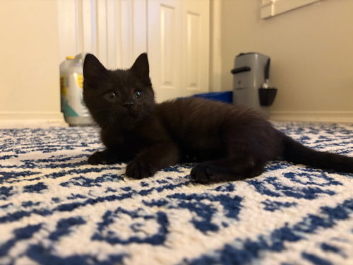 Jim
