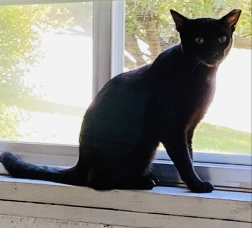 Peabo photo 4