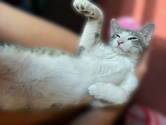 Athos, photo 2