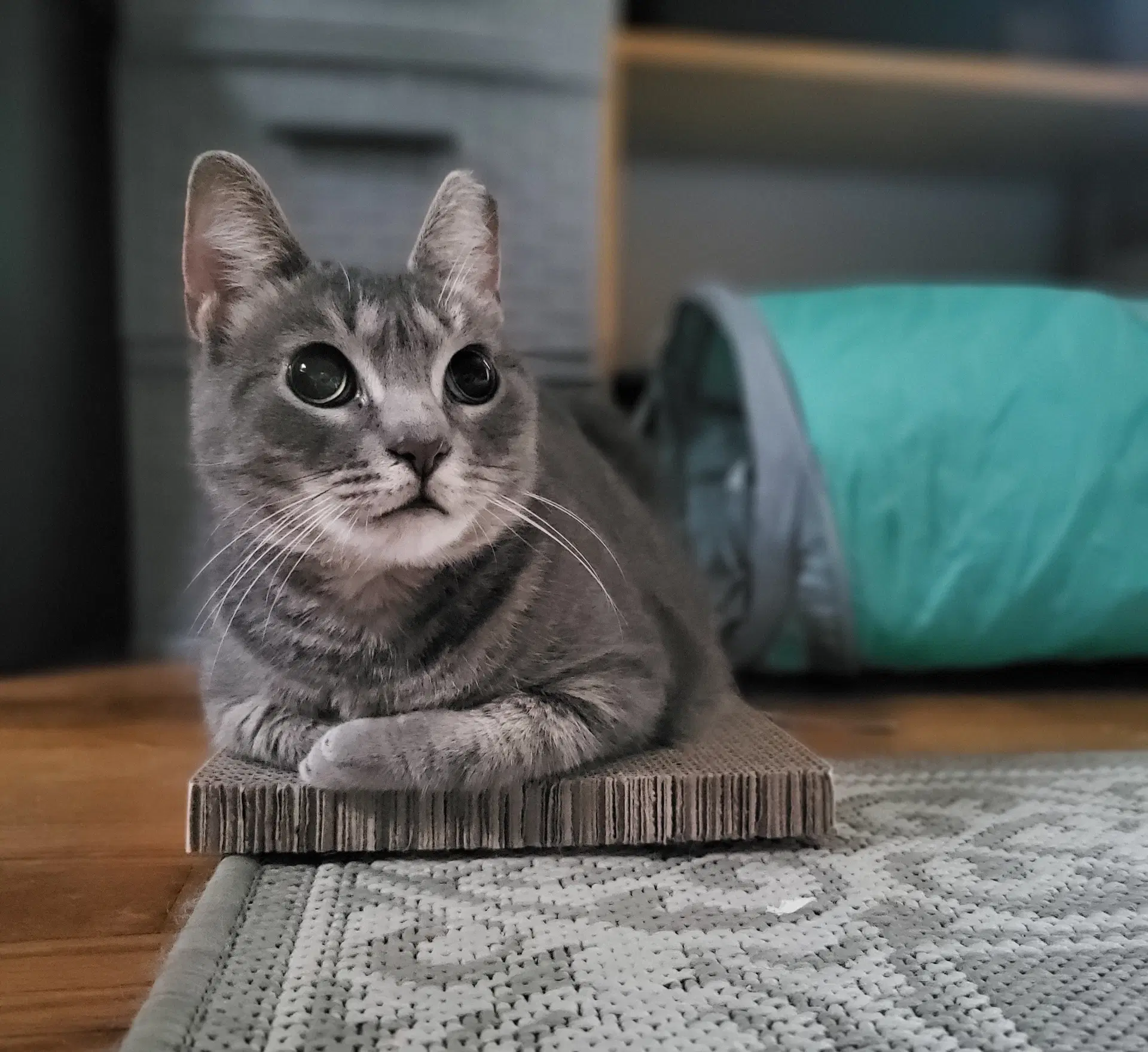 Marina image 2