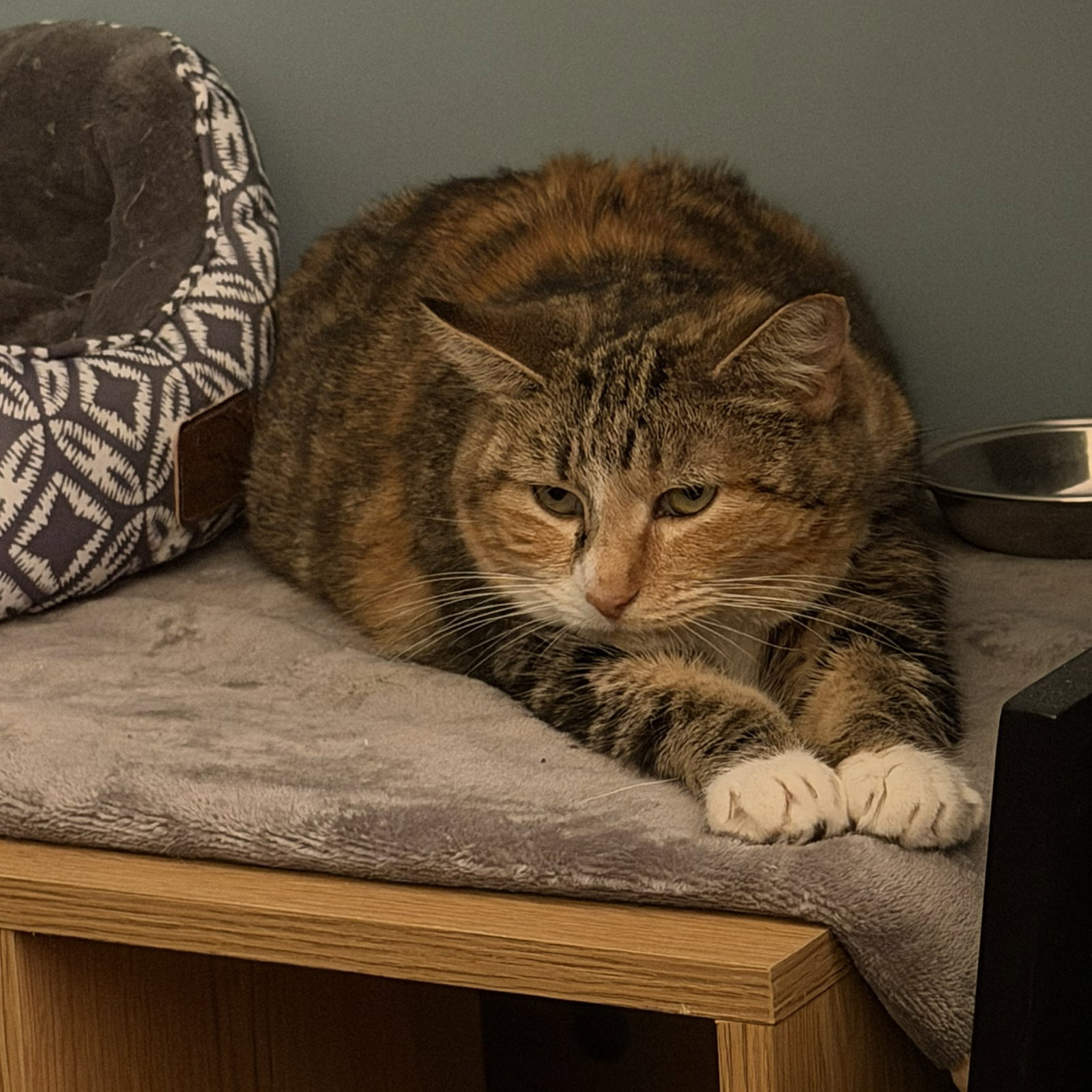 Ruthie (unique and so affectionate), photo 4