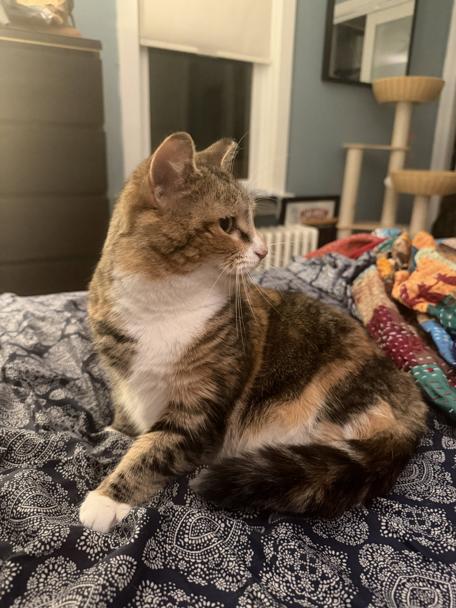 Ruthie (unique and so affectionate), photo 5