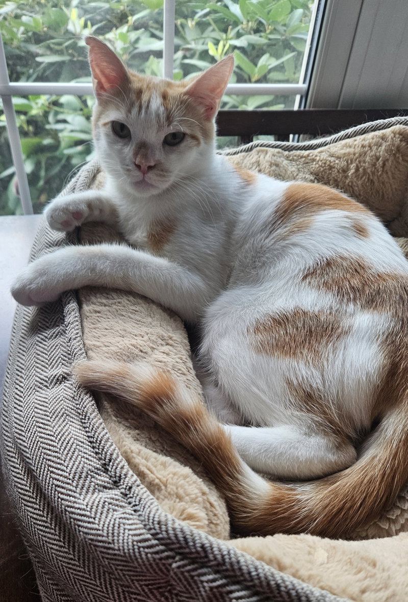 Milo K, photo 7