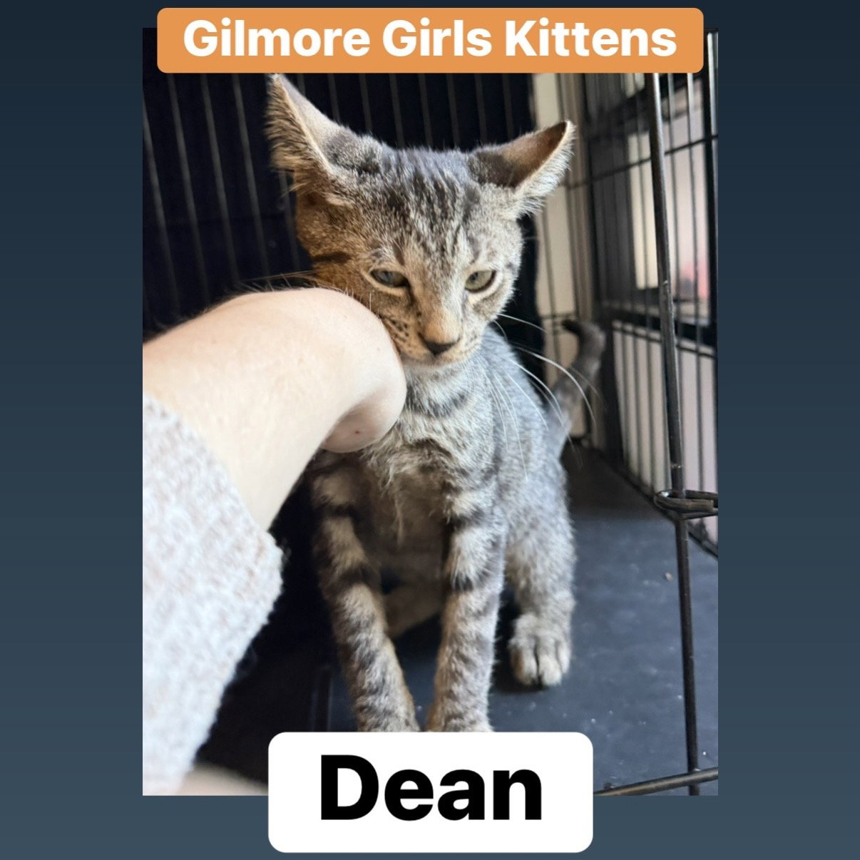 Dean