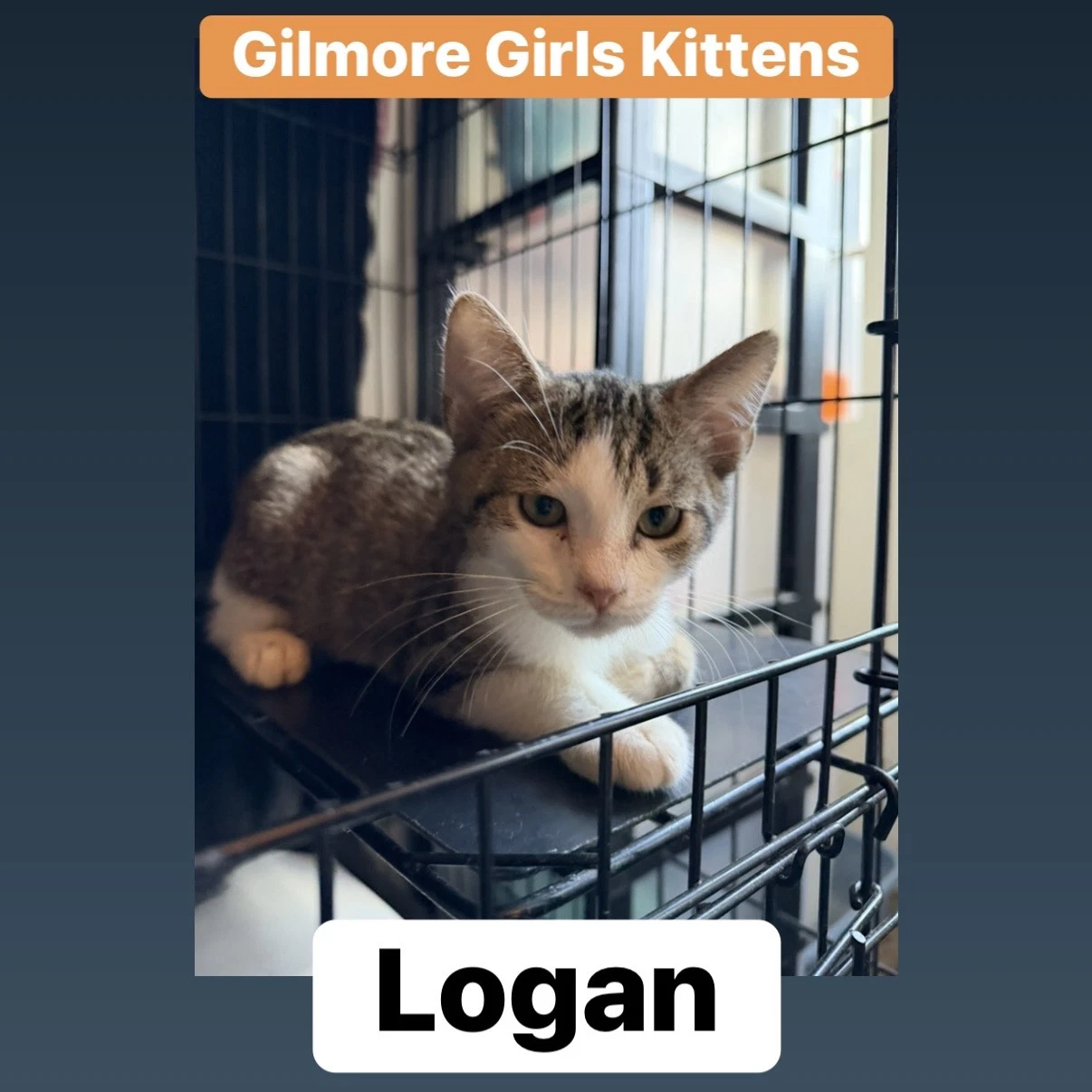 Logan
