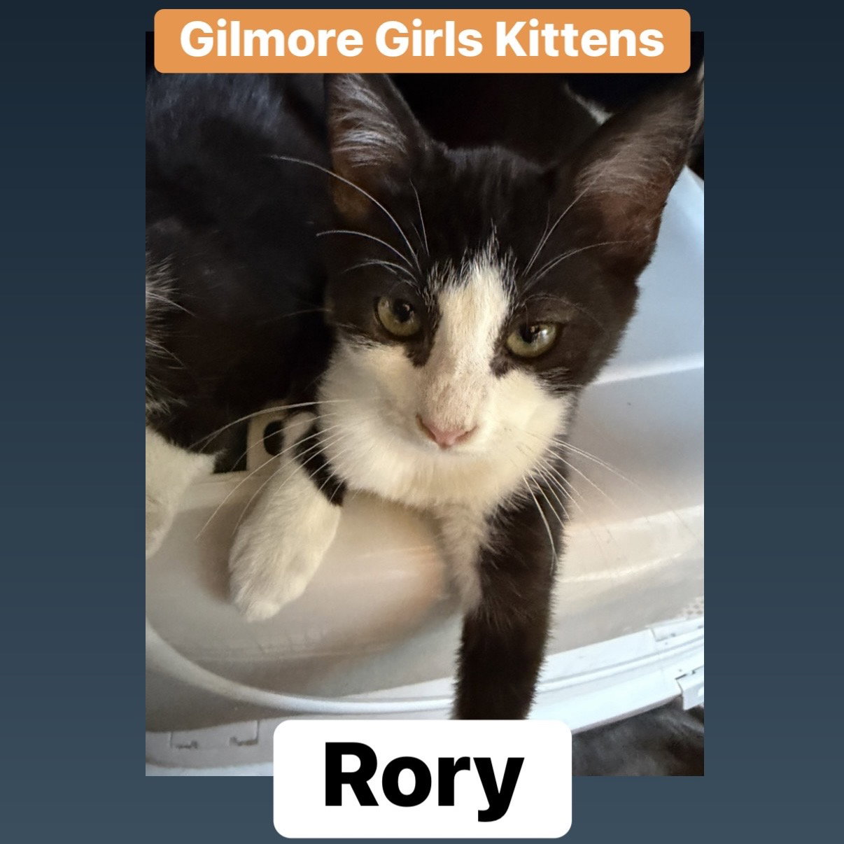 Rory L