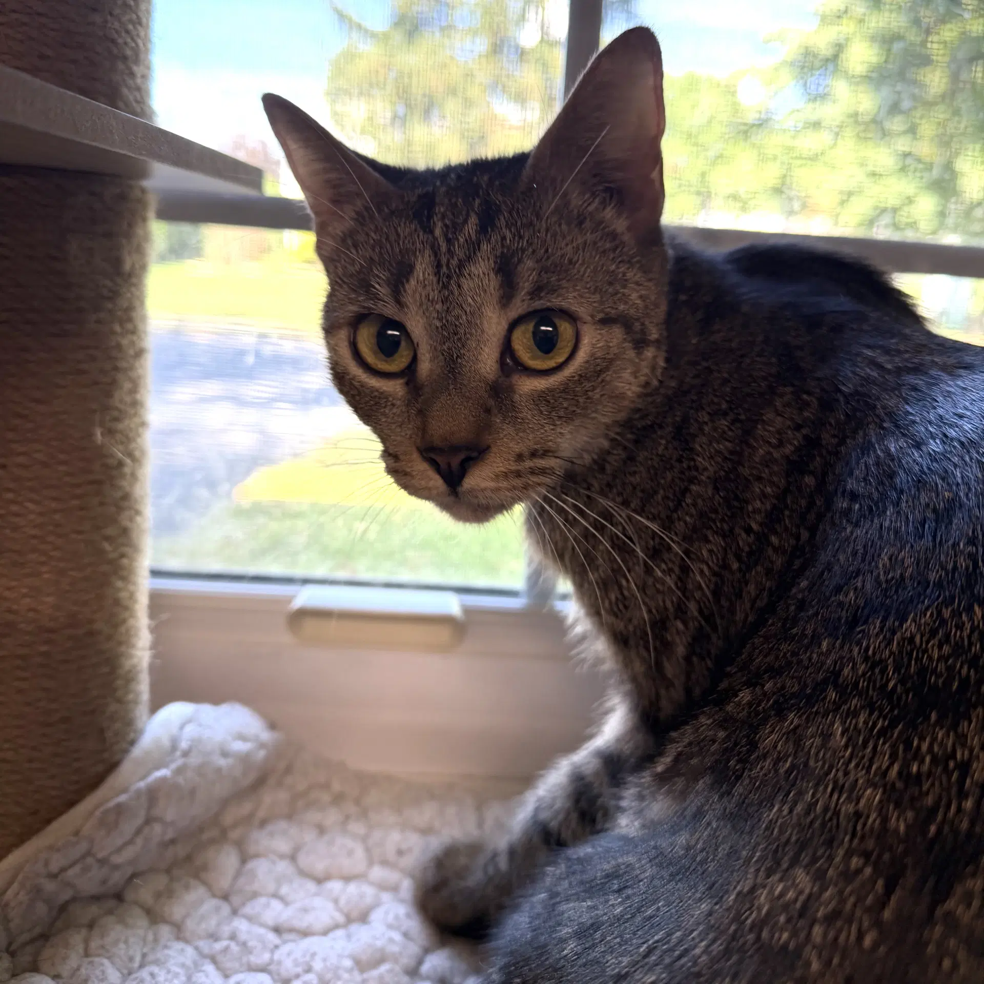 Emily image 3