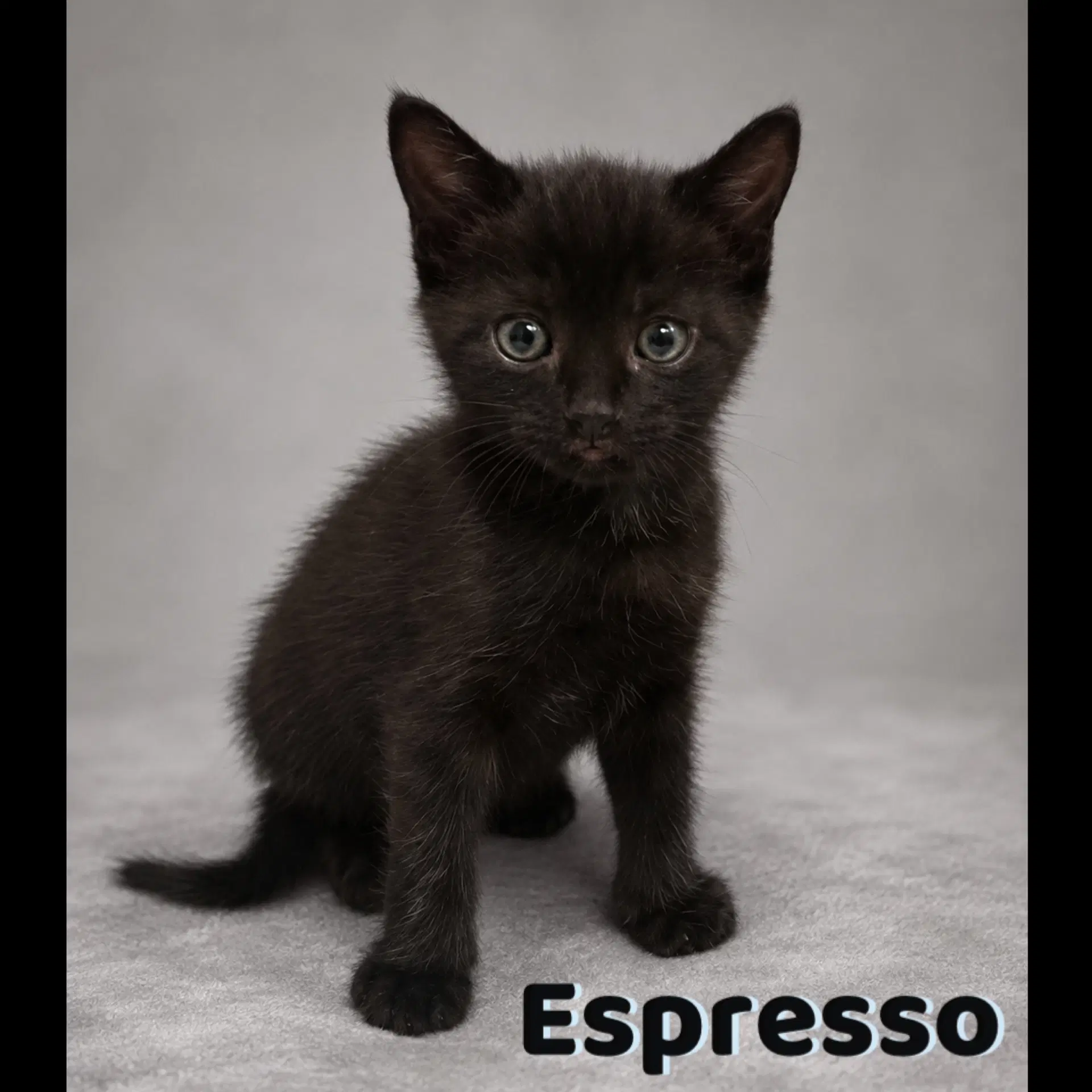 Espresso image 1