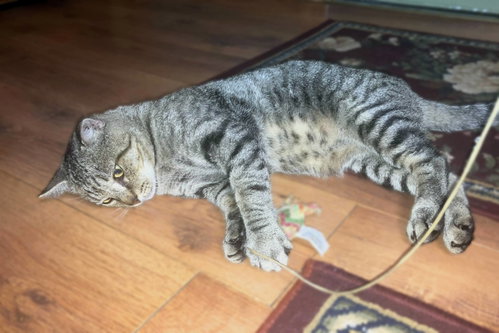 Photo 3 of Vinnie