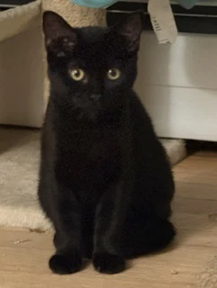 Jack