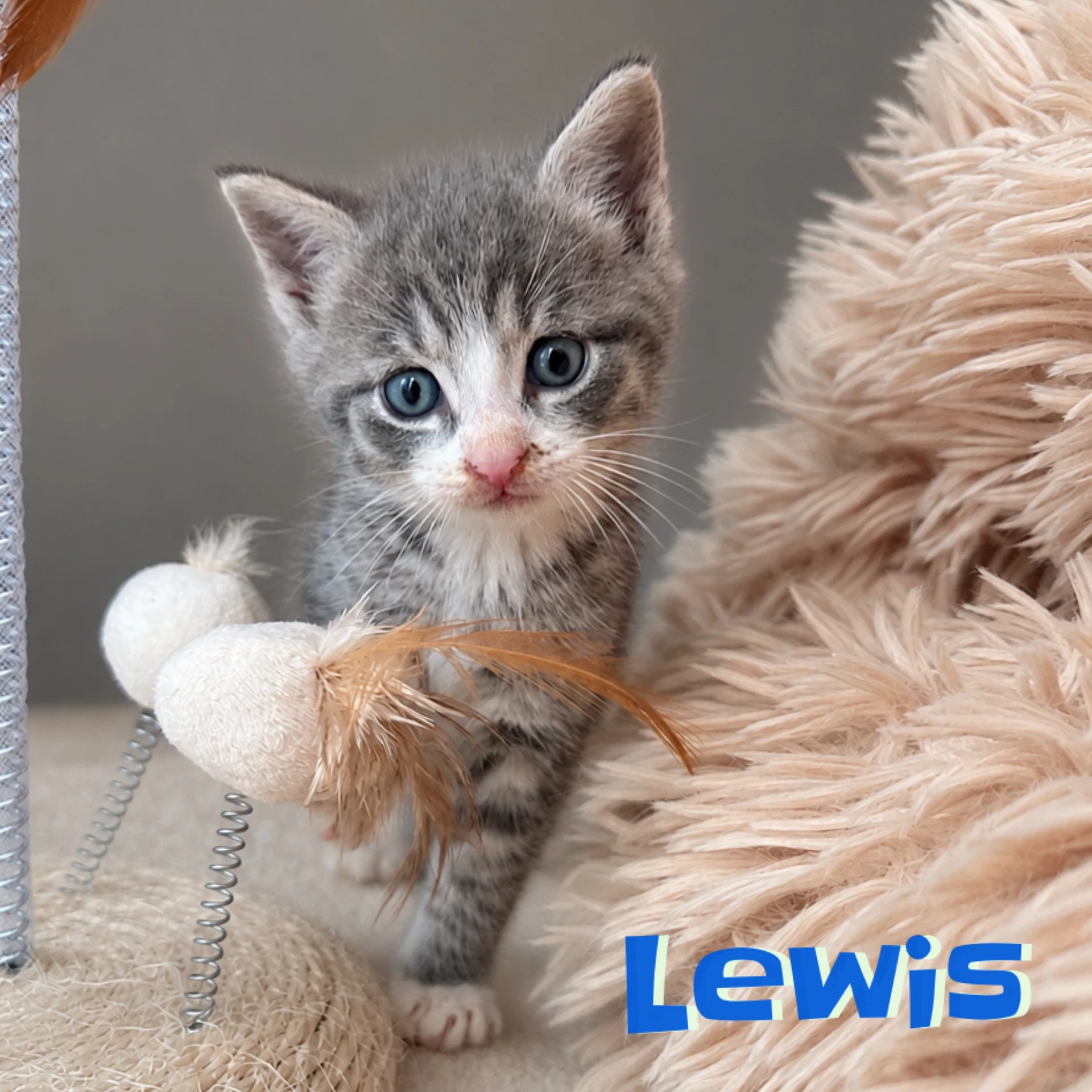 Lewis Bonded With Clark