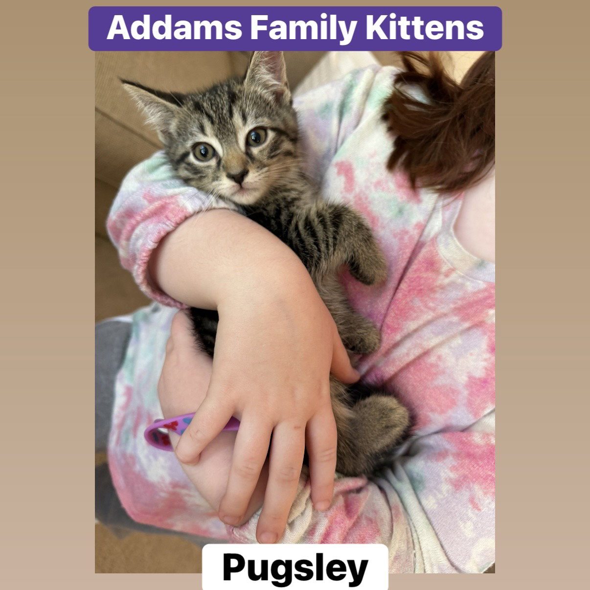 Pugsley