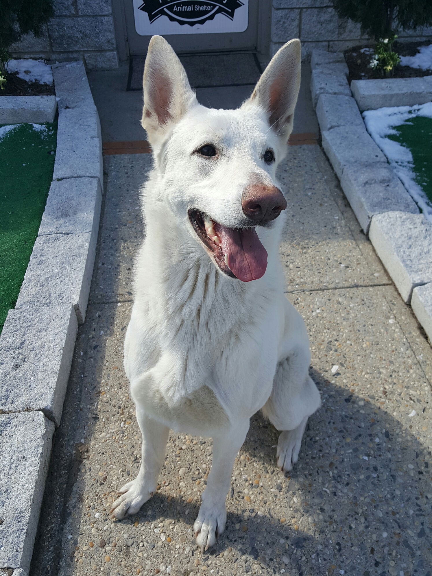 Ragnar