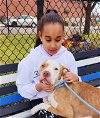 adoptable Dog in perth amboy, NJ named Walker