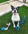 Blaze - Photo 3