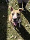 Ella - Photo 4
