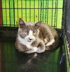 Shirley - Photo 1