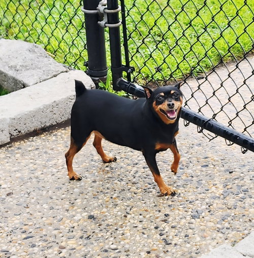 Poka
