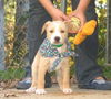 Billy