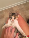 Chloe