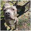 Savannah (adoption pending)