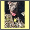 Savannah (adoption pending)