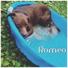 Romeo