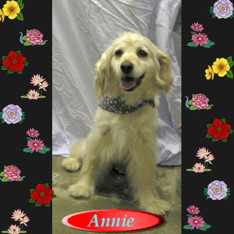 Annie