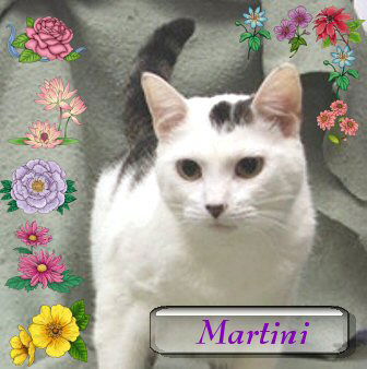 Martini